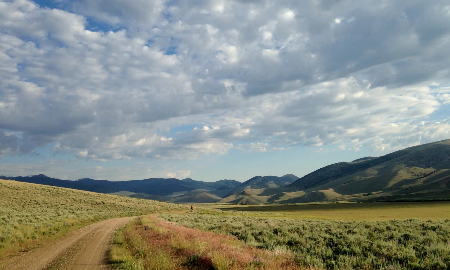 Foto 1 — rowwe aarde