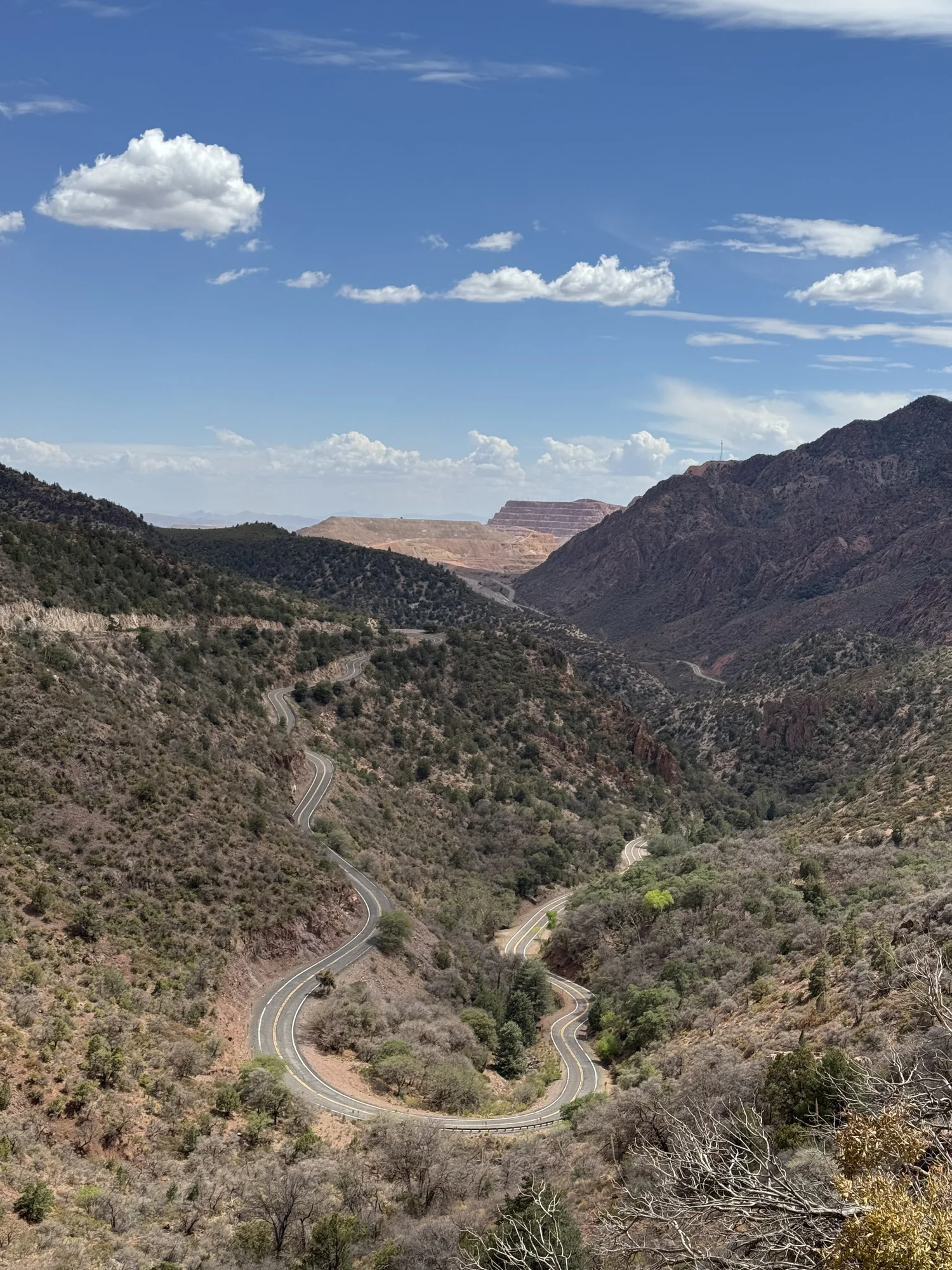 Photograph 6 — mountain man