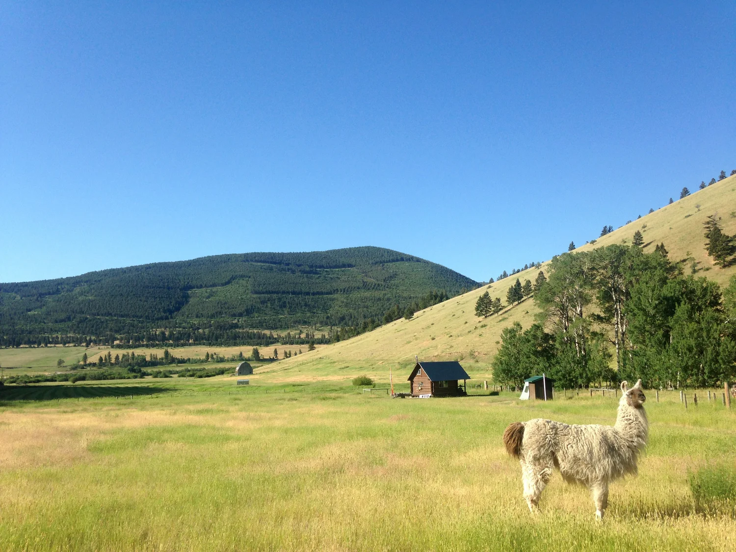 Foto 15 — rowwe aarde