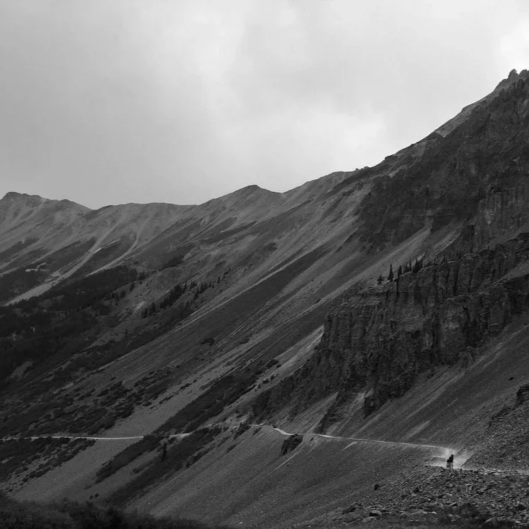 Cover photograph for cookie monster / colorado