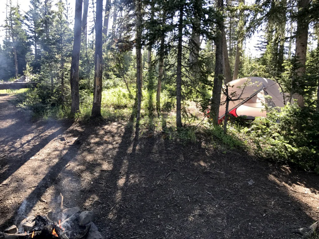 Foto 4 — yellowstone