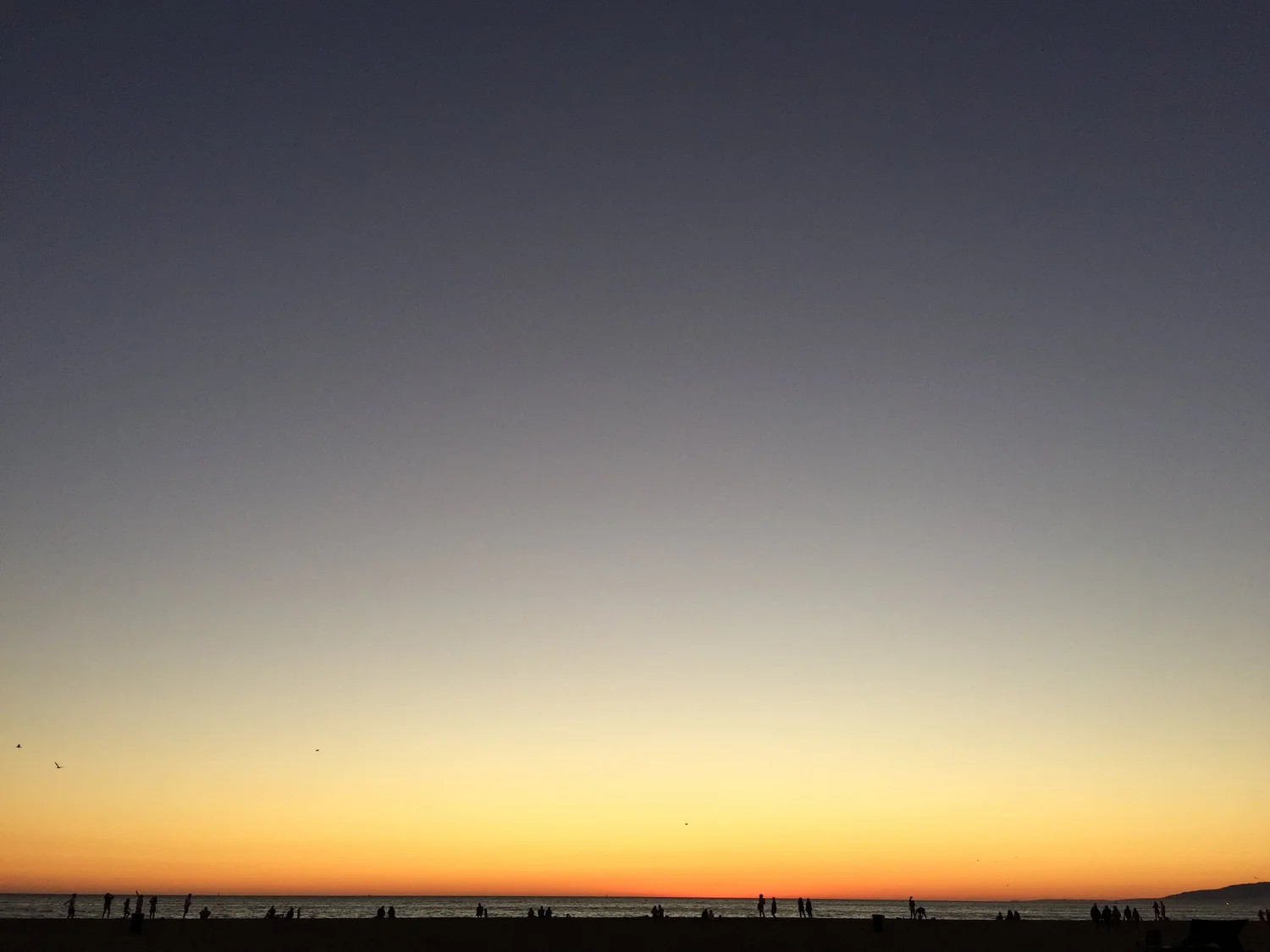 Photograph 3 — higgs boson blues
