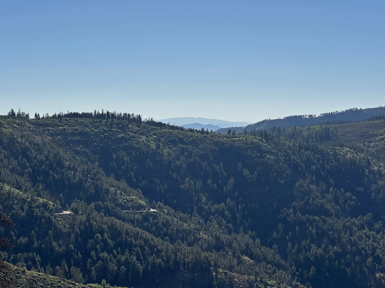 Photograph 3 — mountain man