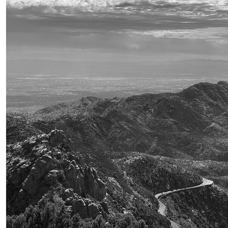 Cover photograph for sky island / arizona