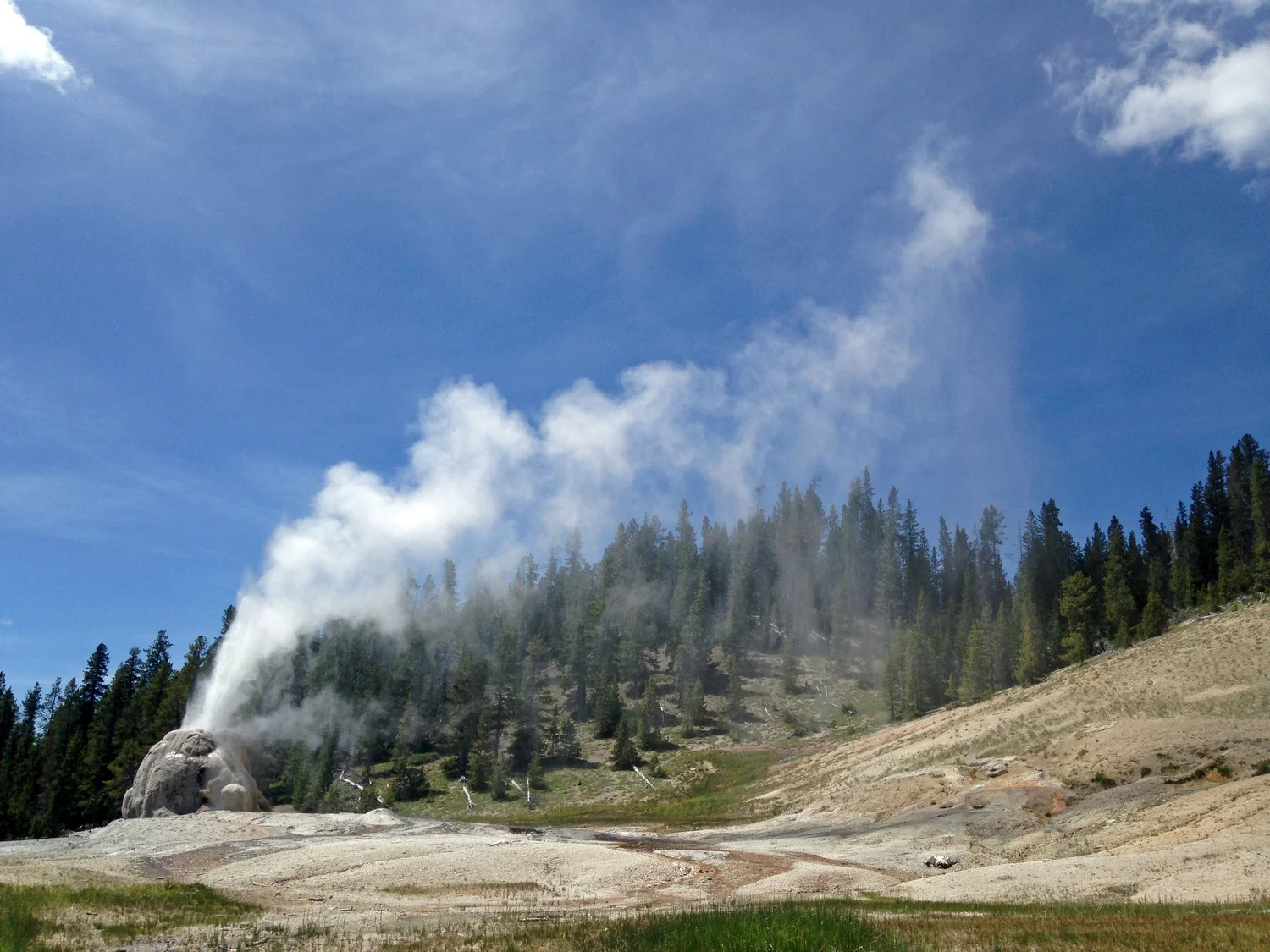 Foto 7 — yellowstone