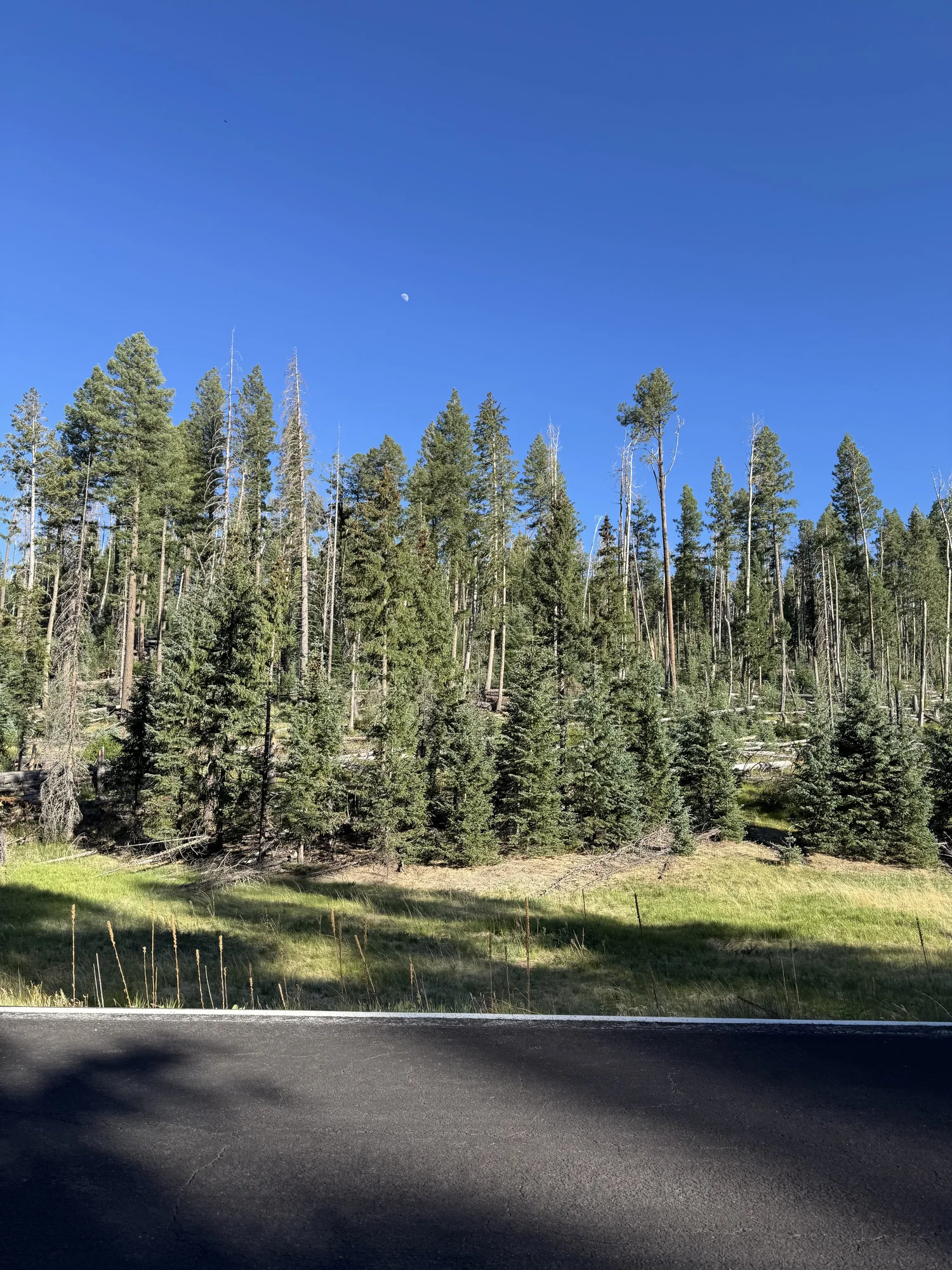 Photograph 4 — mountain man