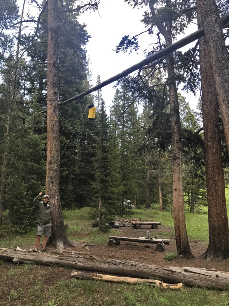 Foto 15 — yellowstone